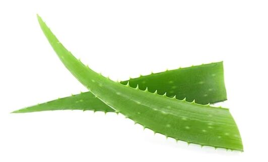 Fungent obsahuje aloe vera